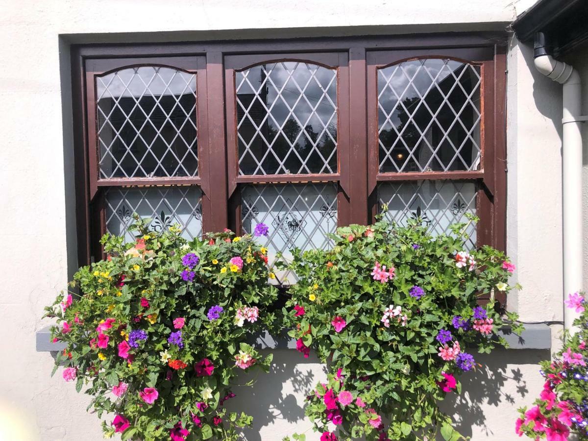 Chester Beatty Inn Ashford Екстериор снимка